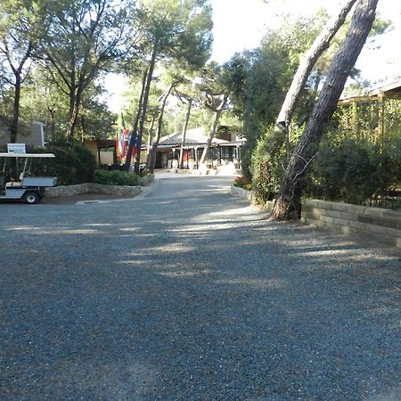 Camping Casa Di Caccia Marina Di Bibbona Eksteriør billede