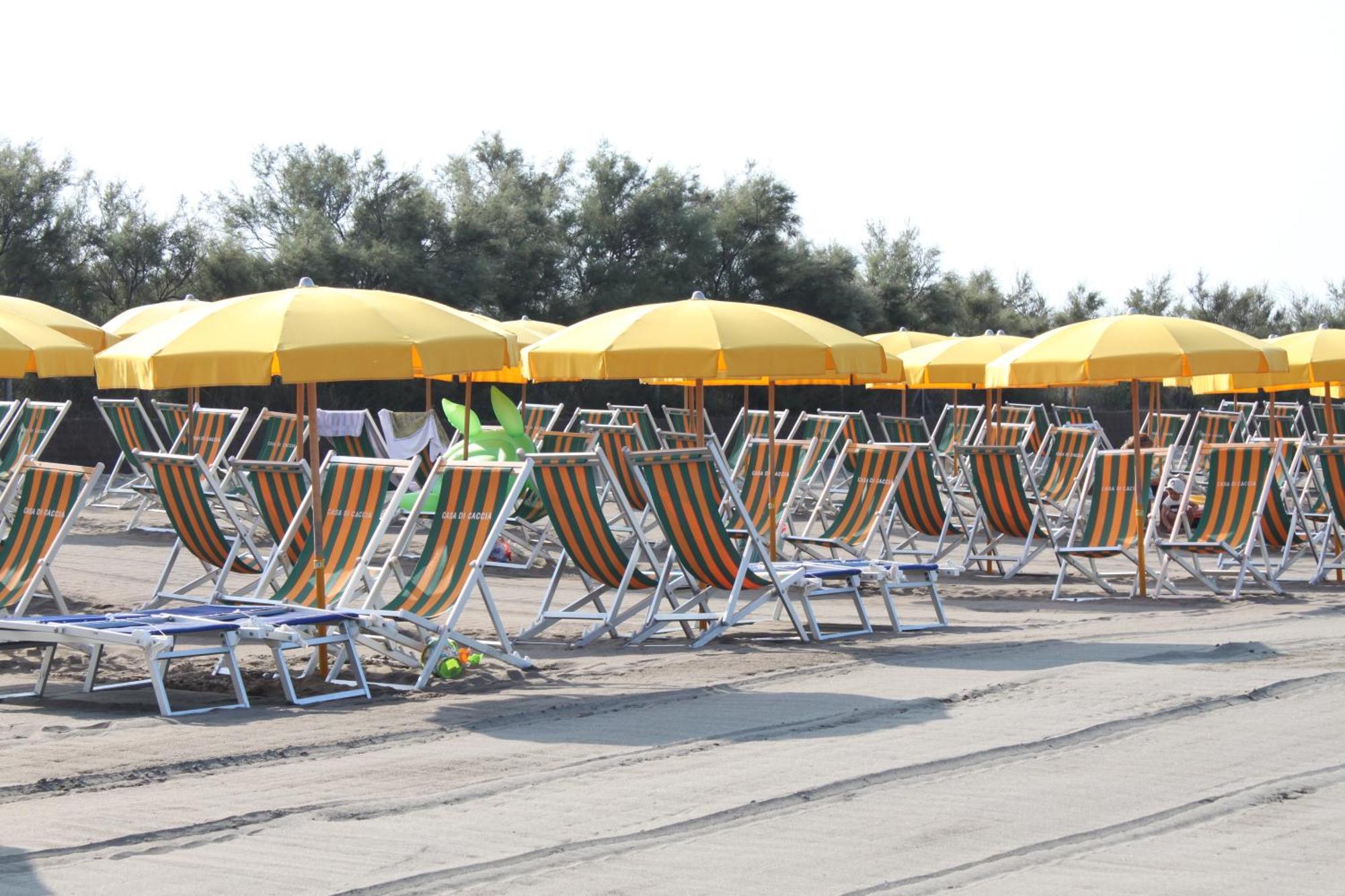 Camping Casa Di Caccia Marina Di Bibbona Eksteriør billede