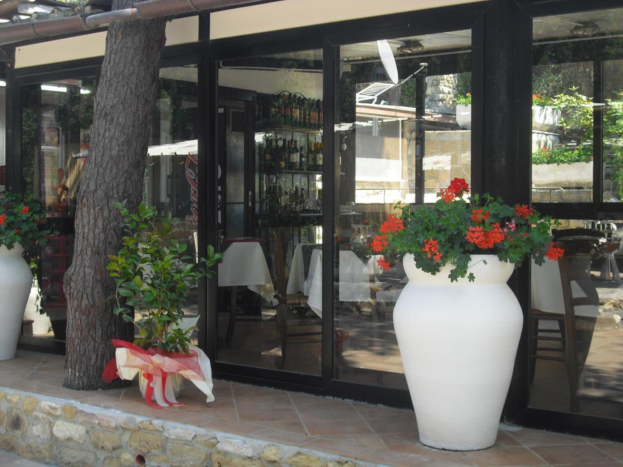 Camping Casa Di Caccia Marina Di Bibbona Eksteriør billede