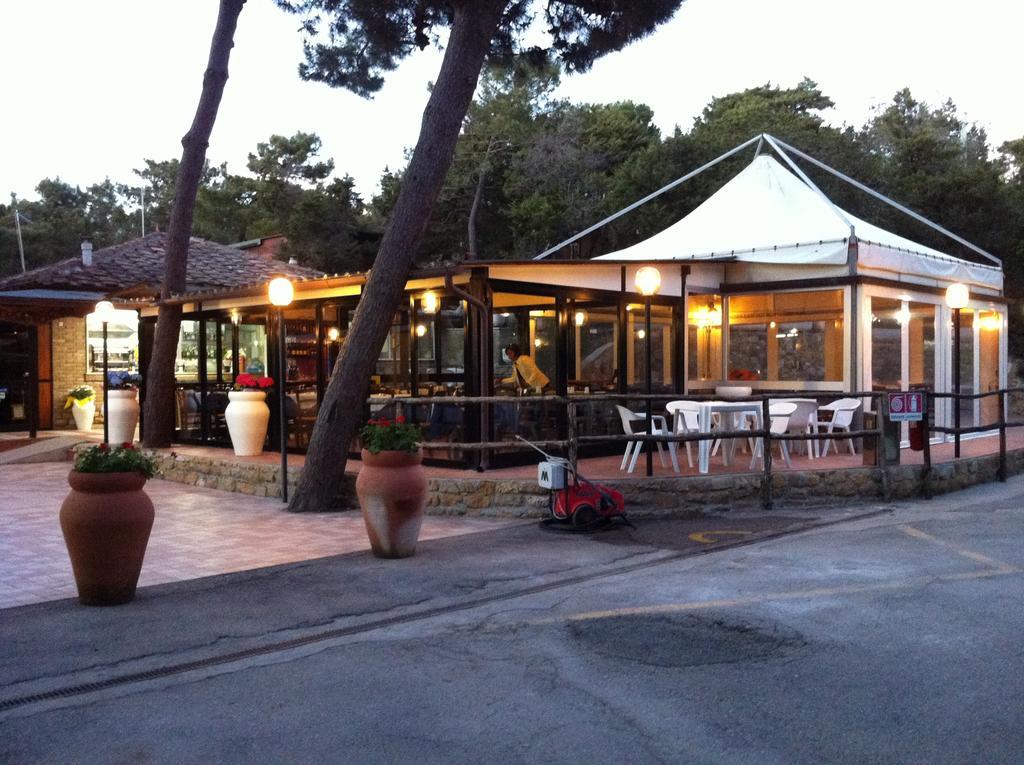 Camping Casa Di Caccia Marina Di Bibbona Eksteriør billede