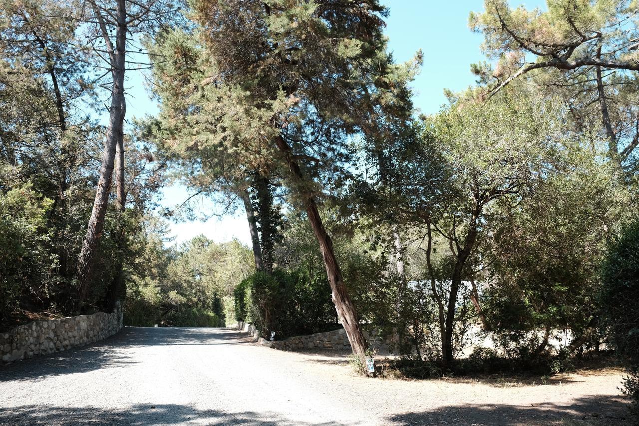 Camping Casa Di Caccia Marina Di Bibbona Eksteriør billede