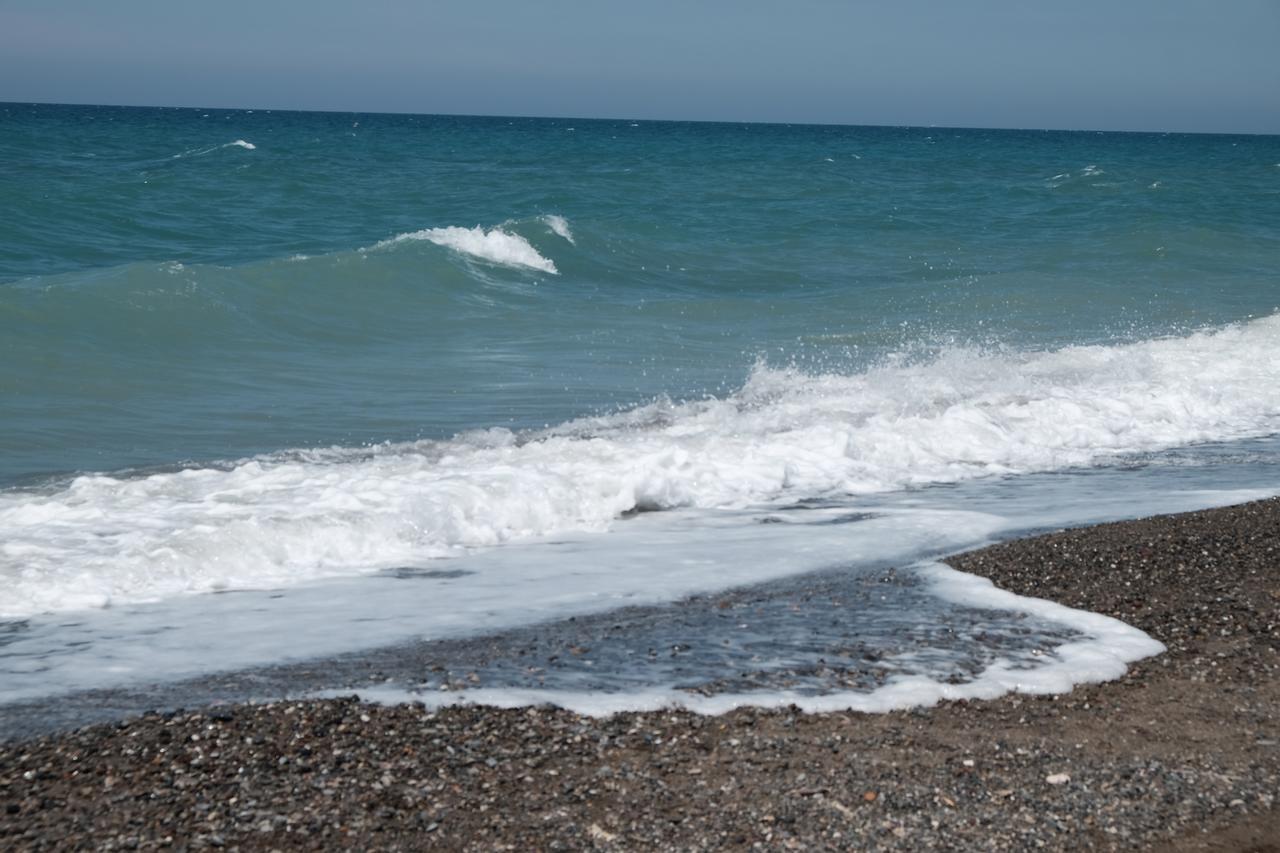 Camping Casa Di Caccia Marina Di Bibbona Eksteriør billede