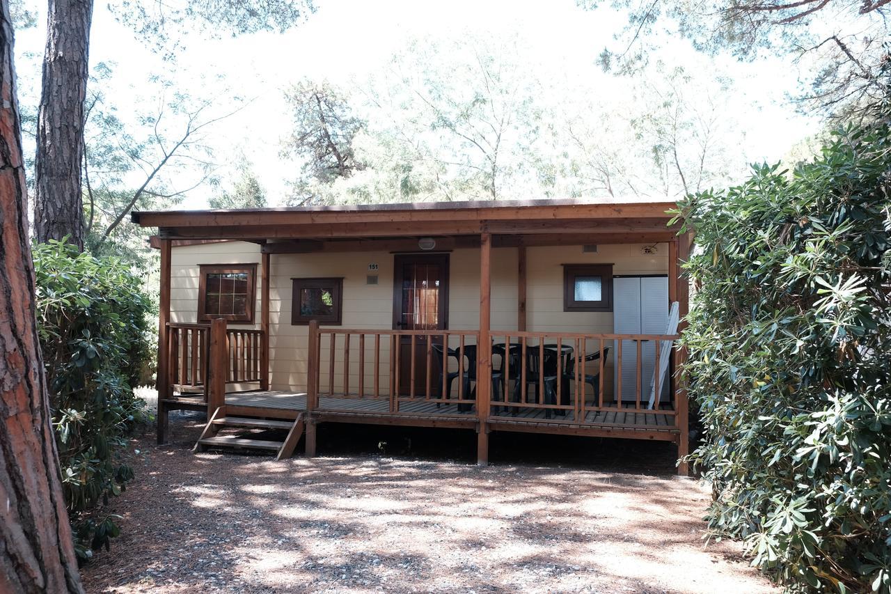 Camping Casa Di Caccia Marina Di Bibbona Eksteriør billede