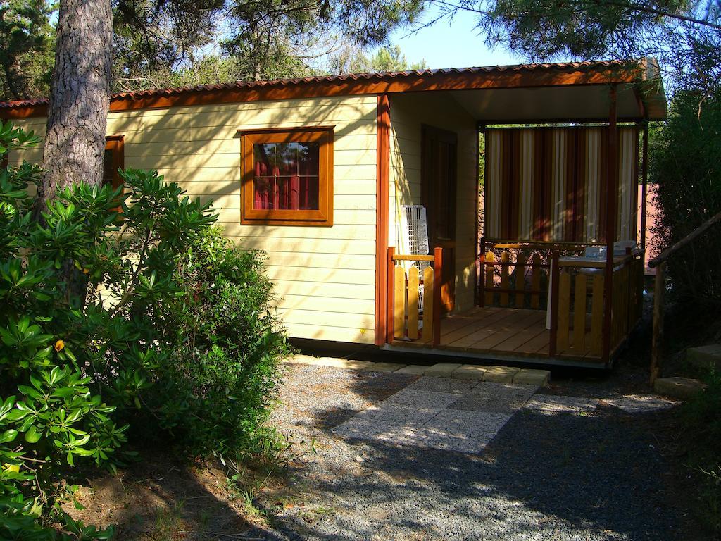 Camping Casa Di Caccia Marina Di Bibbona Værelse billede