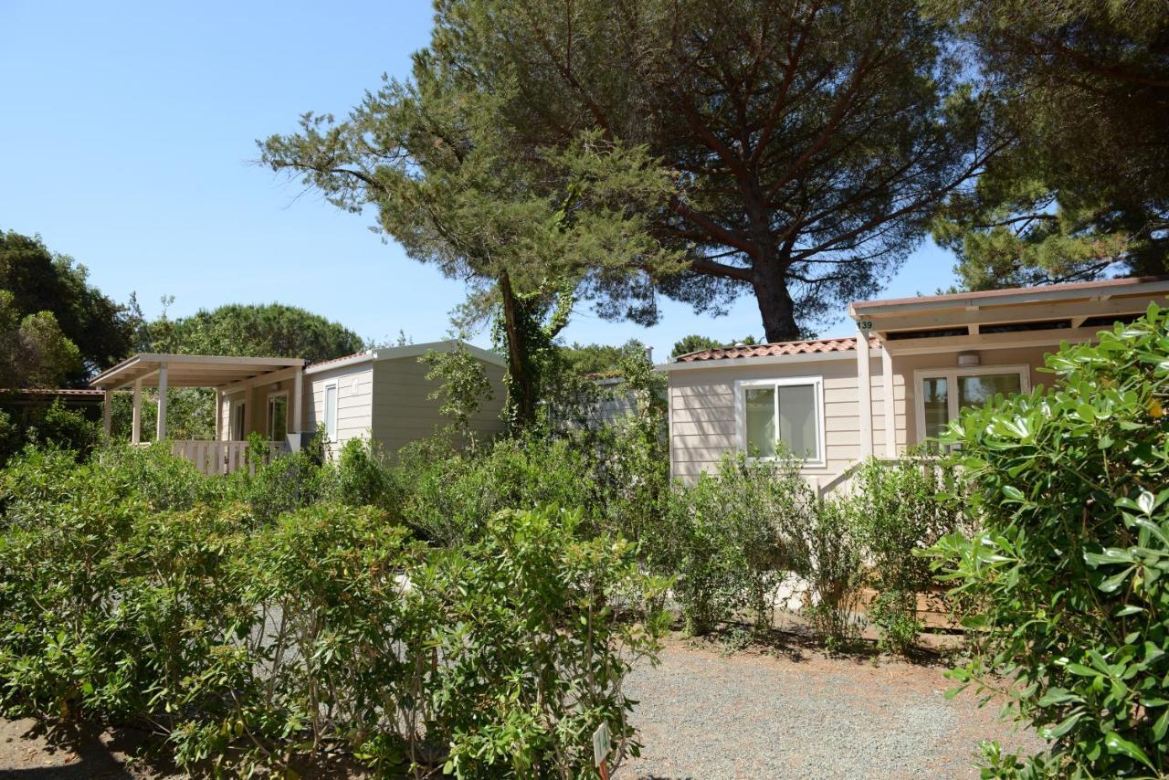 Camping Casa Di Caccia Marina Di Bibbona Eksteriør billede